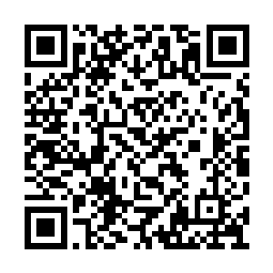 叶凡抬头看到了小记者身后的红河公司一片狼藉二维码生成