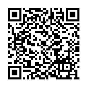 叶卡琳娜竟然猛翻了一下白眼凝固几秒才蹦起来二维码生成