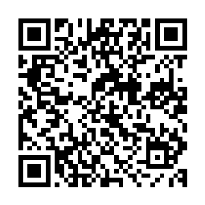 叶听涵顺着容冶的视线一转头刚好看到叶苼的微微凸起的肚子二维码生成