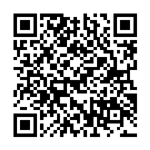 叶妩装作毫不在意的摆弄着手指上的矢车菊蓝宝石戒子二维码生成