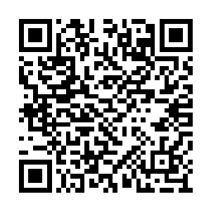 叶子柯反手推云朵儿和严律师往另一边的楼道走二维码生成