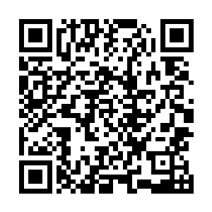 叶孟秋突有一种让他愤怒和伤感的明悟――要是踏了出去二维码生成