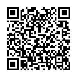 叶家的道馆位于海市不是市中心也不是市郊的地方二维码生成
