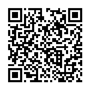 叶尊一个四品剑帝怎能挡住林无缺这般恐怖的威压二维码生成