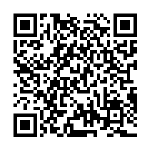 叶尊不但没死而且还借助中年男子的攻击躲进了森林中二维码生成