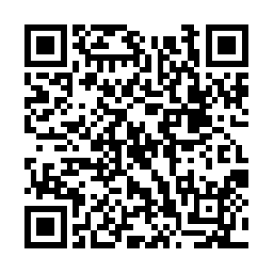 叶尊也不会在阴差阳错之下拥有了这般厉害的手段二维码生成