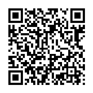 叶尊也会和北云烟两人一起漫步在五方盟每个角落二维码生成