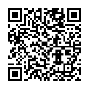 叶尊仍旧咬牙在坚持着引导剑形草上面的剑之力入体二维码生成