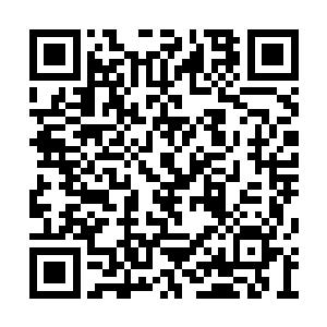 叶尊体内的剑之力已经把叶尊的身体淬炼了大半二维码生成