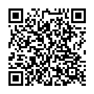 叶尊感觉到了一种比之自废丹田还要痛苦的感觉袭遍全身二维码生成
