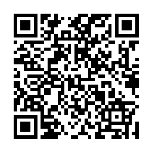 叶尊感觉自己的身体都要被这冲杀而来的恐怖力量撕碎二维码生成