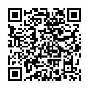 叶尊给白飞燕等人道别后就向着下山的小道走去二维码生成