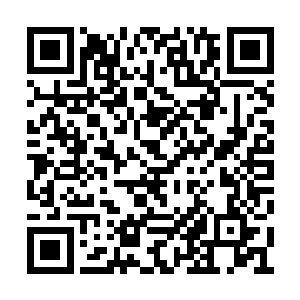 叶小来这只轮椅显然没有虎鲨那只轮椅的动力足二维码生成