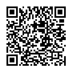 叶尘仿若无事般提着滴血的剑一步步逼向瑟瑟发抖的王虎二维码生成