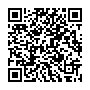 叶尘终于是接受了这个脑海中只有模糊印象的父亲二维码生成