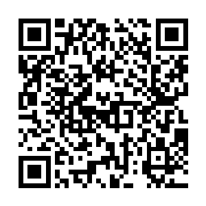 叶尘身上可是有着两块帝器碎片与一件完美圣器的……二维码生成