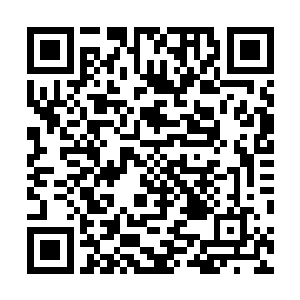 叶恨和几个一直追随在他身边的宗门高层便被带到山谷外二维码生成