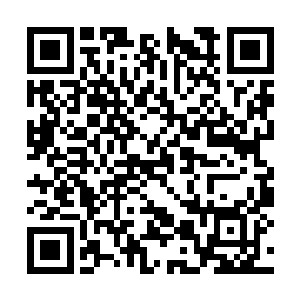 叶惟的行程表除了晚上有一个十分意想不到的晚餐二维码生成