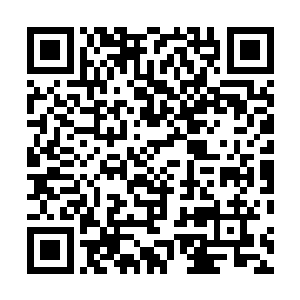 叶惟看着外套里只穿着一条单薄的灰白带血连衣裙的妮娜二维码生成