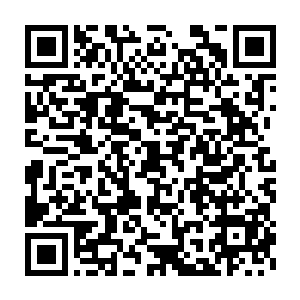 叶惟苏醒了这个不幸中的好消息让所有关心着他的知情人都松了一口气二维码生成