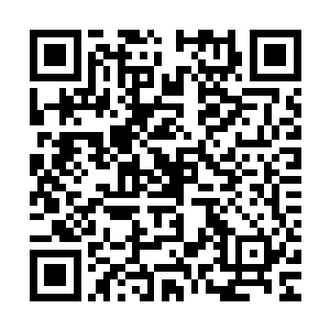 叶明静换了身空乘秀的制服跟洪奇等人混在一起都装扮工作人员二维码生成