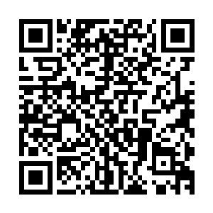 叶明静签署了一份保书就堂而皇之的带着这个印尼难民入境了二维码生成