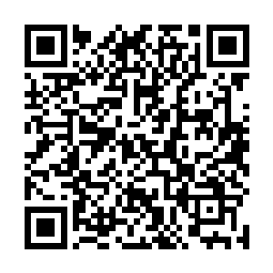 叶星前方的沙漠毒蝎瞬间被杀出一条数十丈的直线通道二维码生成