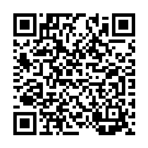 叶星和萨宇一起负责统计部落人口和所有人的姓名二维码生成