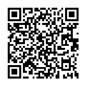 叶星瞳并不知道自己此时已经被炎司绝在脑海中二维码生成