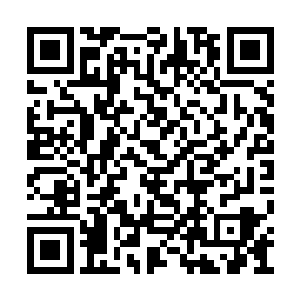 叶枫一行人就来到了这最神秘的叛能者东北区间二维码生成
