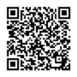 叶枫不知道用什么方法竟然联合了所有的化神后期的老东西二维码生成