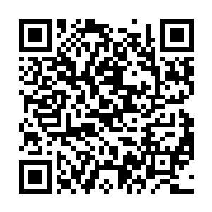 叶枫就已经不曾想过自己会再次听到师父这样叫唤自己二维码生成
