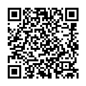 叶枫并没有把林婷和杜特两人覆盖到静止对象中二维码生成