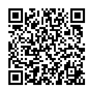 叶枫感受到一股巨大的灵源从这人体内深处涌出二维码生成