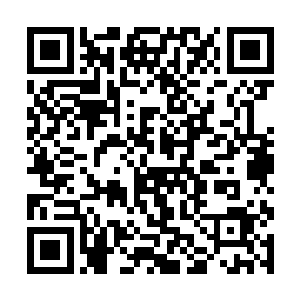 叶枫来到这大千世界的核心空间是肯定有其他目的的二维码生成