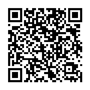 叶枫清晰的看到自己眼前的闪跃现象也得到了抑制二维码生成
