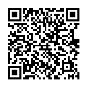叶枫还记得这尊石狮子当时只是被一个普通的快递员落下的二维码生成