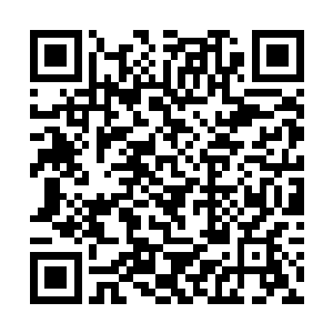 叶楚出世并且和宗王级的存在一战而胜的消息传出去二维码生成