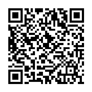 叶楚和三六到了他摊位跟前这老人也没什么反应二维码生成