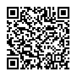 叶楚感觉到一股温润如水的元灵力在身体中流转二维码生成