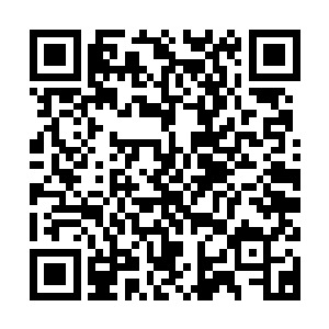 叶楚斩杀准宗王境张立的消息传到每一个打叶楚主意的强者耳中二维码生成