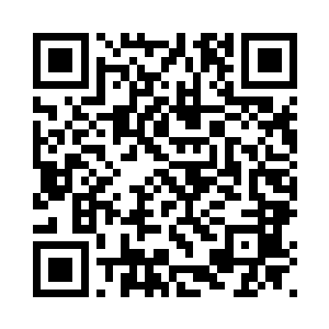 叶楚昨天晚上又去附近巡视了一番二维码生成