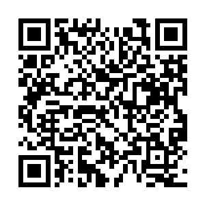 叶楚现在脸色也很难有可能杨宁杨慧和巫族的血脉二维码生成