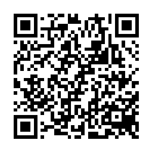 叶楚直接取出大把的青元丹和玄灵丹丢到她面前二维码生成