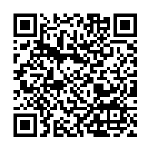 叶楚隐约间好像看到了九条尾巴拉出来的长长的阴影二维码生成