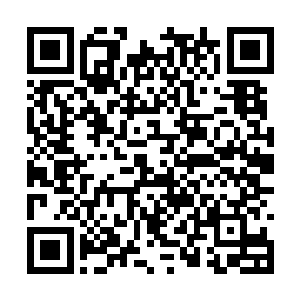叶浩然和龙少云都十分的好奇林放究竟想做些什么二维码生成