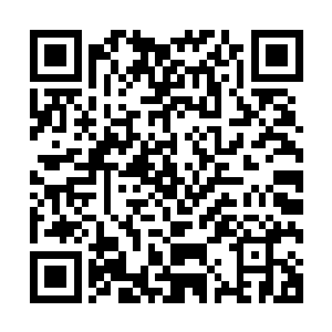 叶海凝拿起了筷子夹起了一块鱼准备送进那个小女孩儿的嘴里二维码生成