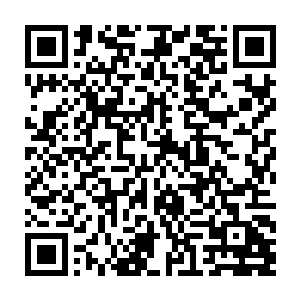 叶海凝的脑海里闪现了昨天晚上自己在天籁之境度假村里看到的那个身影二维码生成