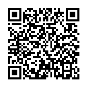 叶海凝看着小女孩儿可爱的样子忍不住笑出了声二维码生成