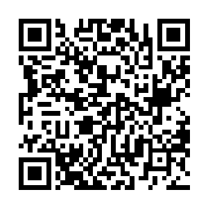 叶温柔的行为将会给刚刚起势的叶家给带来毁灭性的打击二维码生成